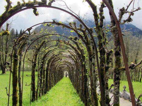 View through an arched gallery in spring, in the background mountains in the clouds, bright green grass., Linderhof, Bavaria, Germany.
