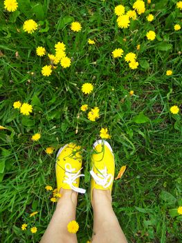 Yellow sneakers in the grass with yellow flowers, the picture was taken on the phone when I went for a walk, top-down shot of the legs.