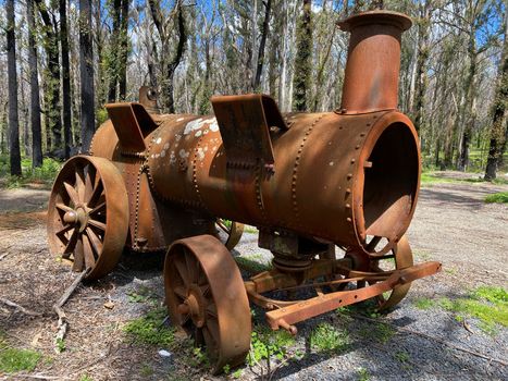 An old, rusty, abandoned boiler in a forest