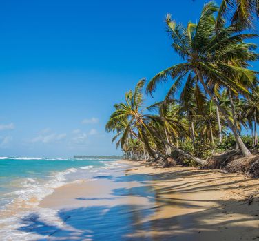 Beautiful pictures of Dominican Republic