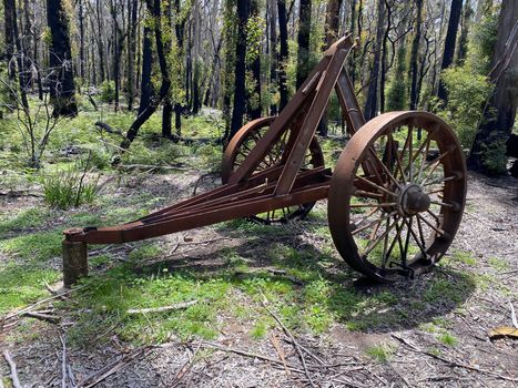 An old piece of equipment used to drag logs