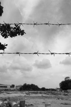 wire with clusters of short, sharp spikes set at intervals along it, used to make fences or in warfare as an obstruction.