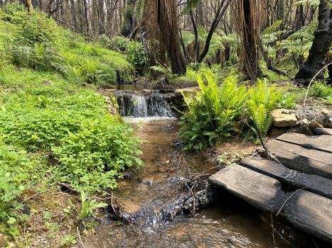 A small waterfall after a bushfire next to a small burnt bridge