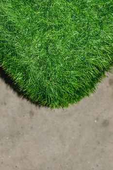 Artificial Turf isolated on white background.