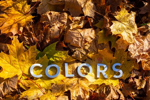 the word colors laid with metal letters over yellow autumn fallen leaves - closeup with selective focus.