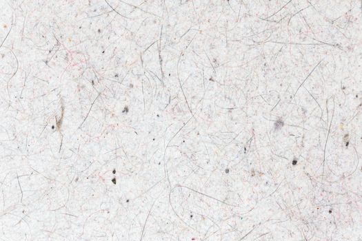 domestic cat hair, fur and dust pollution on white flat surface texture and background