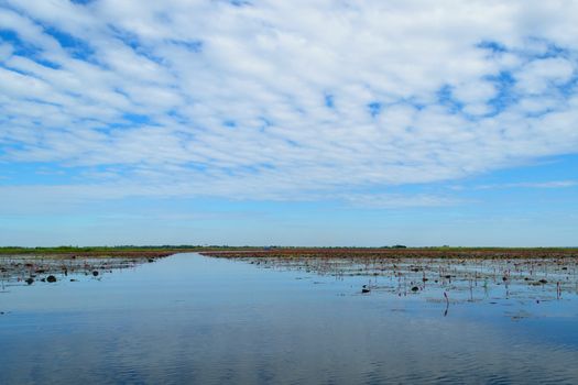 Beautiful blue sky and clouds over the river.