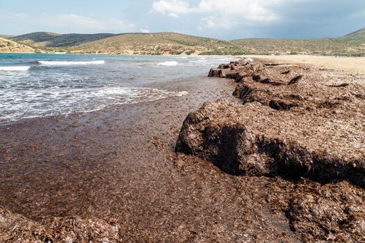 Beach section with brown algae and water waves off the Prasonisi peninsula in the south of Rhodes island, Greece
