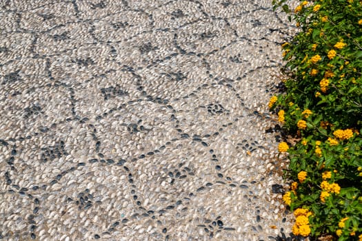 Pavement with pebble mosaic and yellow flowers in  the old town of Rhodes city, Rhodes island, Greece