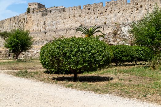 Along the ditch of the antique city wall in the old town of Rhodes city at greek island Rhodes on a sunny day in summer