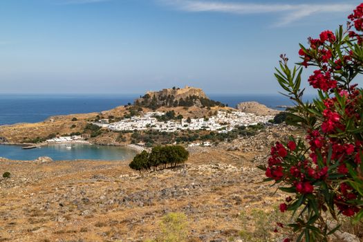 Scenic view at the city of Lindos with white houses, the antique Acropolis on top of the mountain, the bay and red flowering shrub in the foreground on a sunny day in spring