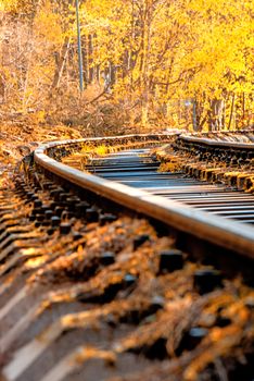 rails out of order in autumn