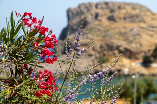 Scenic view at St. Pauls bay in Lindos on Rhodes island, Greece on a sunny day 