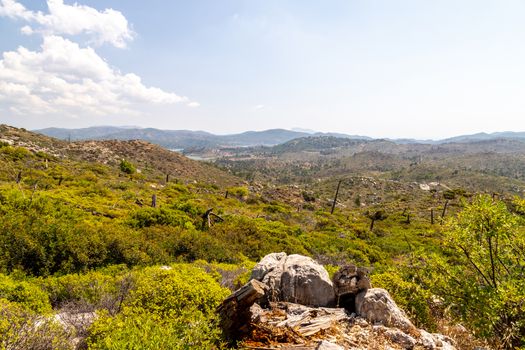 Landscape near Laerma on Greek island Rhodes 10 years after a forest fire with remains of burnt trees