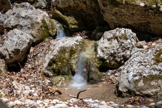 Creek in the valley of butterflies (Petaloudes) on Rhodes island 