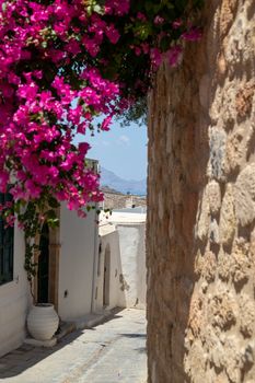 Narrow street with purple flowers and white houses in Lindos on Greek island Rhodes