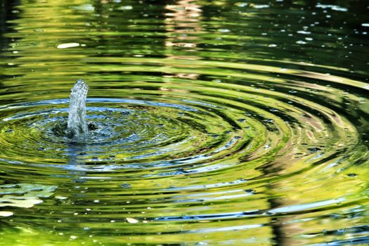 Jet of water in a pond forming waves in a garden