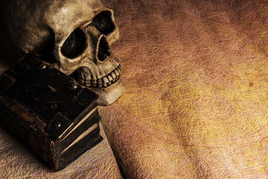 Ancient diary lying together with  human skull on an old grungy parchment.
