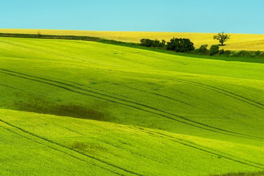 Beautiful rolling hills in Southern Moravia in the Czech Republic. Fields are beautifully wavy which is especially beautiful in the spring.