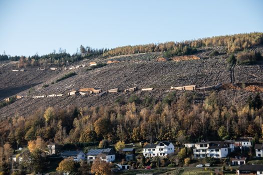 Logging work in the autumn coniferous forest