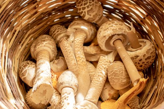 wicker basket with mushrooms close up