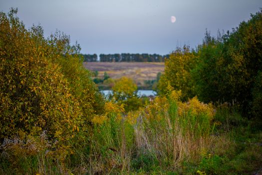 shallow depth of field autumn landscape with moon and small lake.