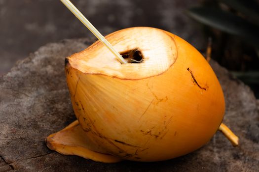 King Coconut is well known as Thembili, is native to Sri Lanka, sweeter than coconut drink.