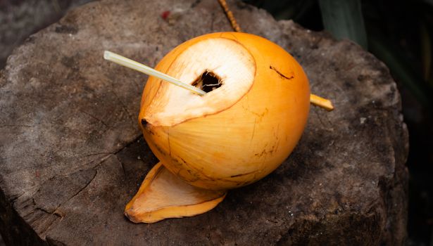 King Coconut is well known as Thembili, is native to Sri Lanka, sweeter than coconut drink.