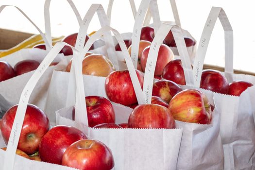 Bags of Fresh Apples at Farmers Market . High quality photo