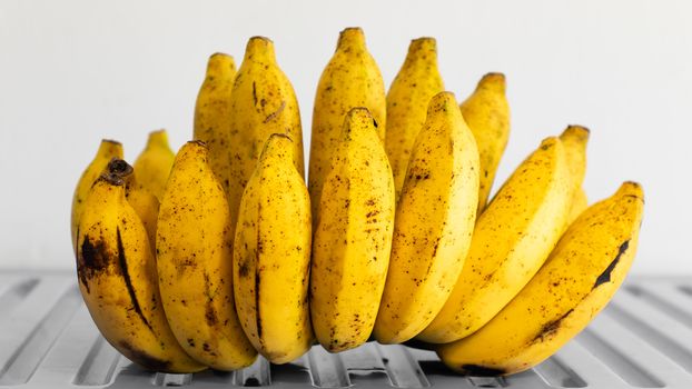 Hand of Cavendish bananas in white background