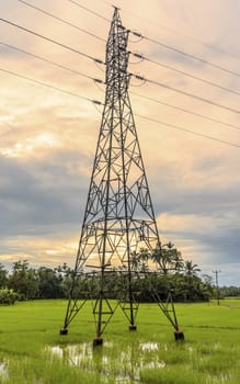 High Voltage power lines goes through paddy fields in rural village landscape photography