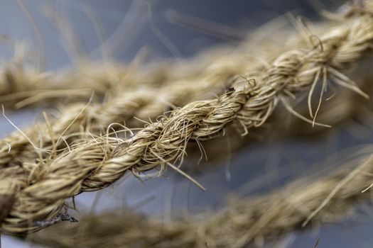 Coir Twine close up macro photograph