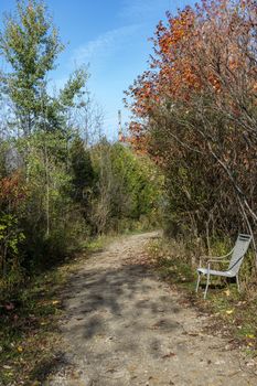  People left a chair at the side of the road in the park