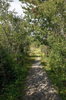 A winding trail leads from the forest through the field to residential areas