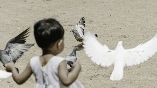 small kid playing with pigeons in a park