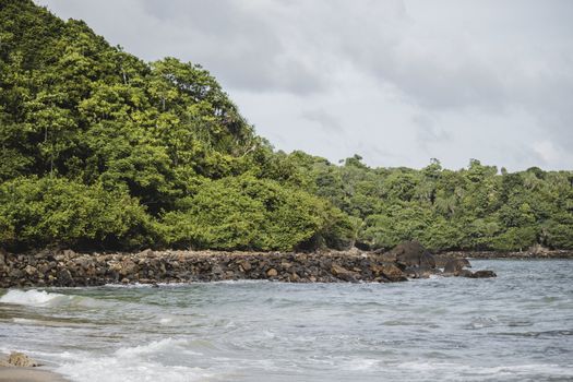 Jungle beach shore with rocks landscape