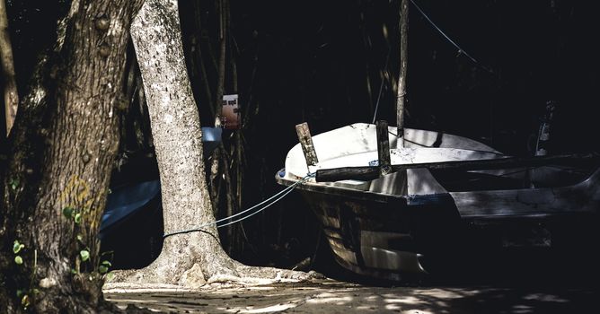 fishing boat roped in land tree dark creepy photograph