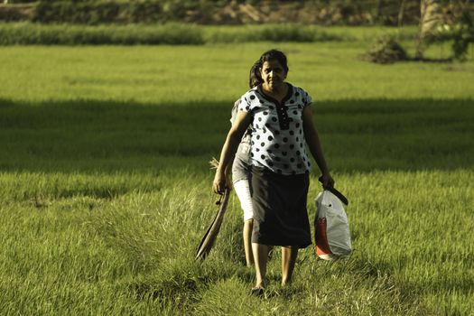 rural village woman walking with his daughter in the paddy filed caring things in both hands