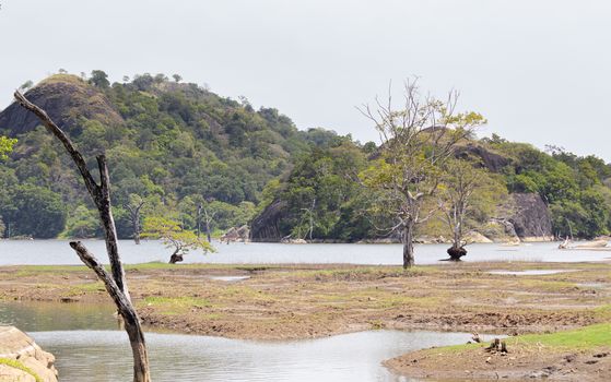 The dry season in Buduruwagala forest as drying out low level of water in Reservoir.