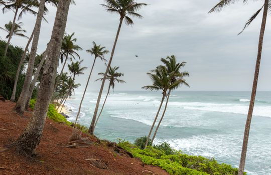 Mirissa Coconut tree hill is one of the best tourist destinations in the southern province, side ocean horizon view