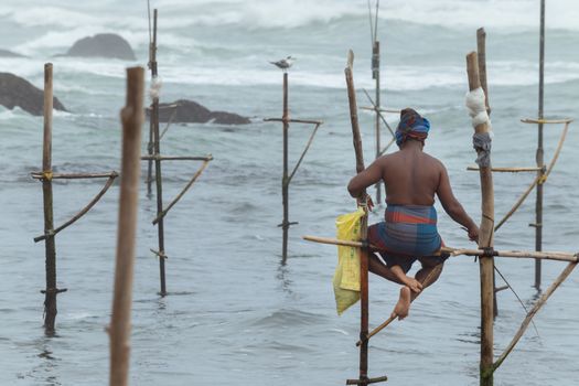 Stilt fisherman with his wooden rod facing back to the camera without a top, fishing in a traditional unique method in Sri Lankan culture, sunny bright evening on the beach.