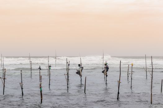 A couple of Stilt fishermen sitting on their poles with wooden fishing rods in their hands in the sunset evening. Ocean waves crash behind them in the background with an orange yellowish sky.A couple of Stilt fishermen sitting on their poles with wooden fishing rods in their hands in the sunset evening. Ocean waves crash behind them in the background with an orange yellowish sky.