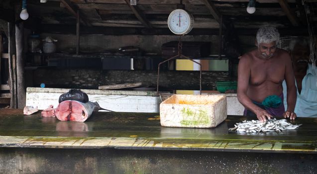 Weligama, Southern Province / Sri Lanka - 7 26 2020: Fish Seller cutting and preparing small fishes to sell.