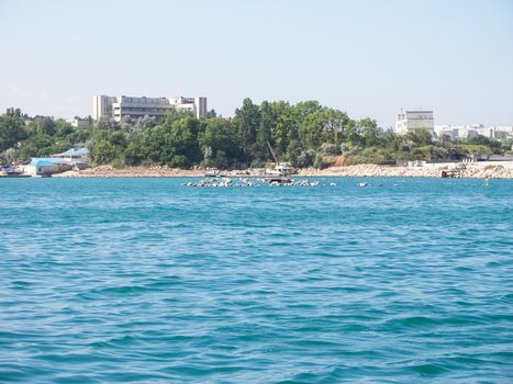 Sea and shore in Sevastopol. The coastline of Sevastopol.