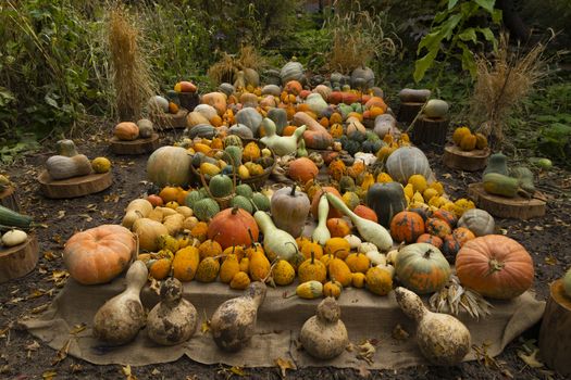 Collection of huge pumpkins, of all shapes, colors and sizes, exhibited in baskets or on the ground, in the Royal Botanical Garden in Madrid, Spain.