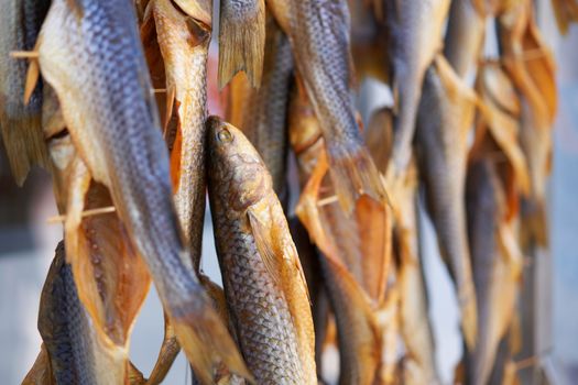 Dried fish hanging rope raw seafood drying salted beer snack Dry fish on store market Background