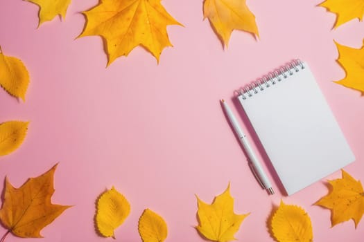 .Autumn fallen foliage and notebook on pink background