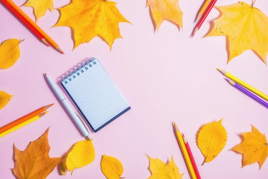 .Autumn fallen foliage and notebook on pink background