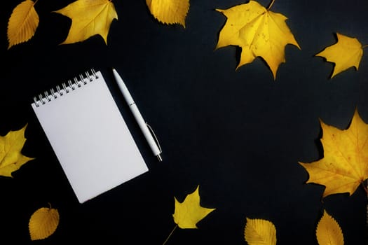 .Autumn fallen foliage and notebook on black background