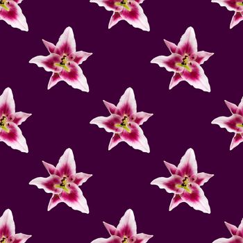 seamless pattern of pink Lily flower bloom. Pink lily flowers over pink background seamless texture. flat lay flower pattern